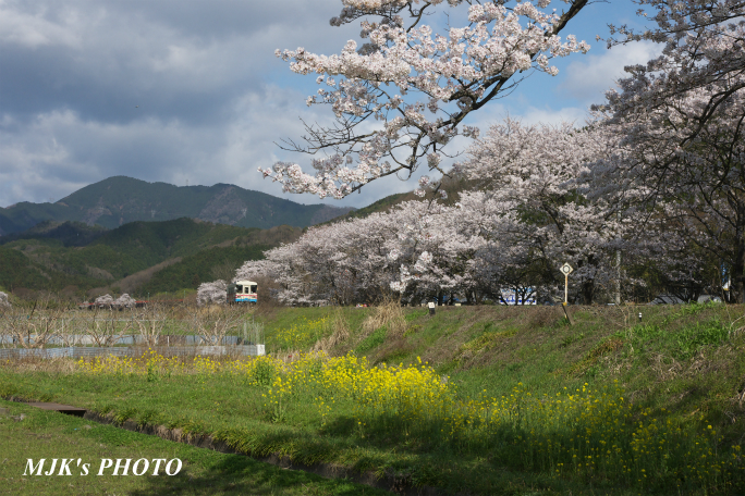 tarumi4025.jpg