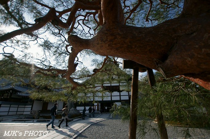 tenryuji00250.jpg