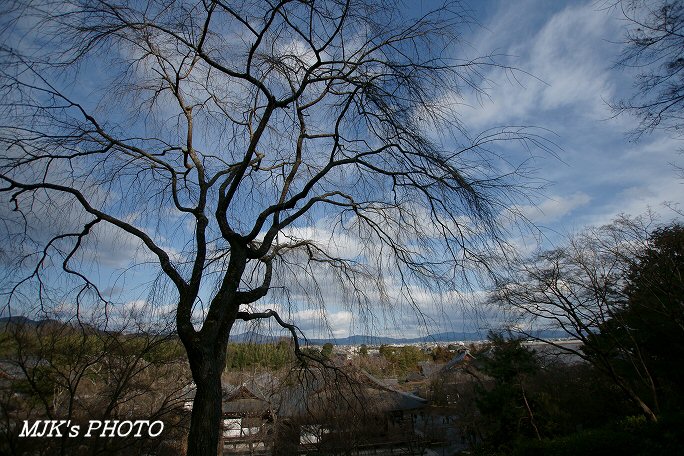 tenryuji00254.jpg