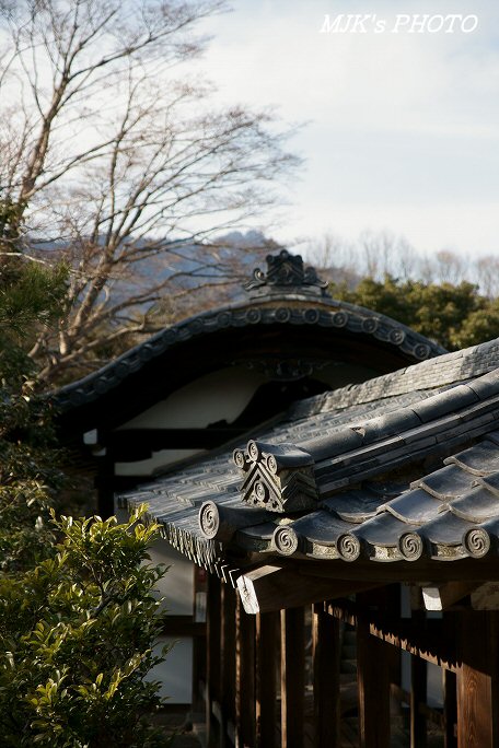 tenryuji00255.jpg
