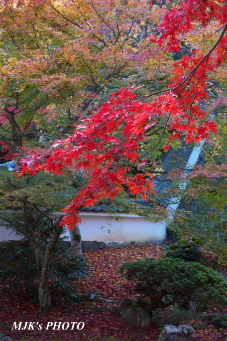 tokugenin2786.jpg