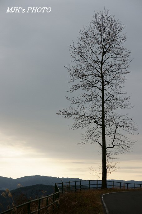 tonobokujo00115.jpg