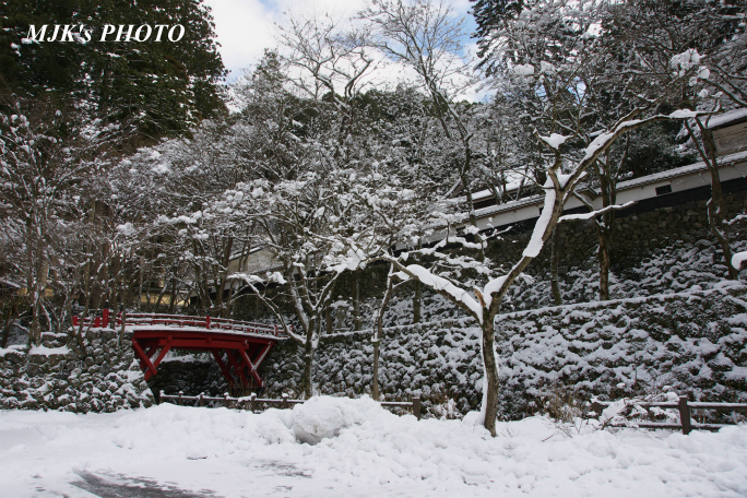 yokokura2833.jpg