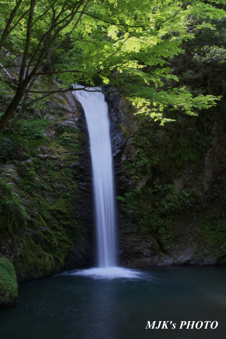 yokotanikyo2287.jpg
